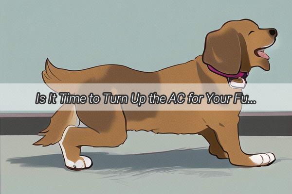 Is It Time to Turn Up the AC for Your Furry Friends A Pawsitive Guide to Cooling Down Your Canine Companions